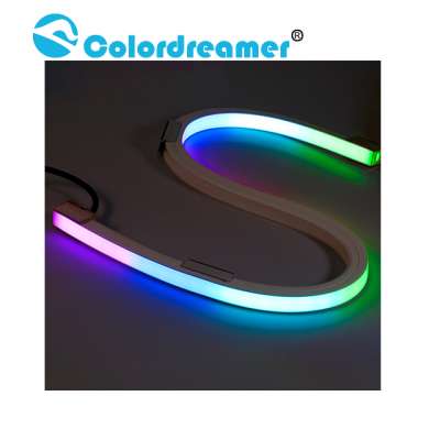 Magic Color Changing DMX Control Neon Strip Vertical Bend Waterproof IP66 RGB/RGBW LED Flex Neon DN196010